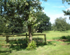 Ashbrook Towers Farm Bed & Breakfast